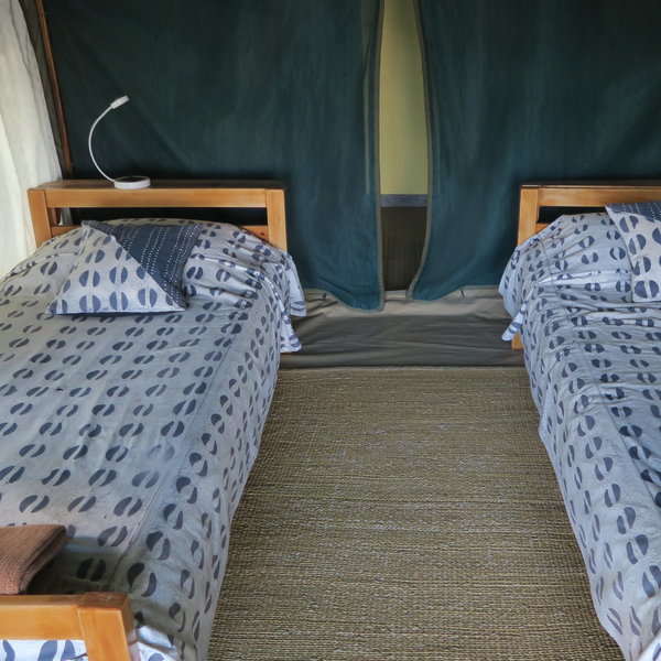 Tarangire Safari Lodge