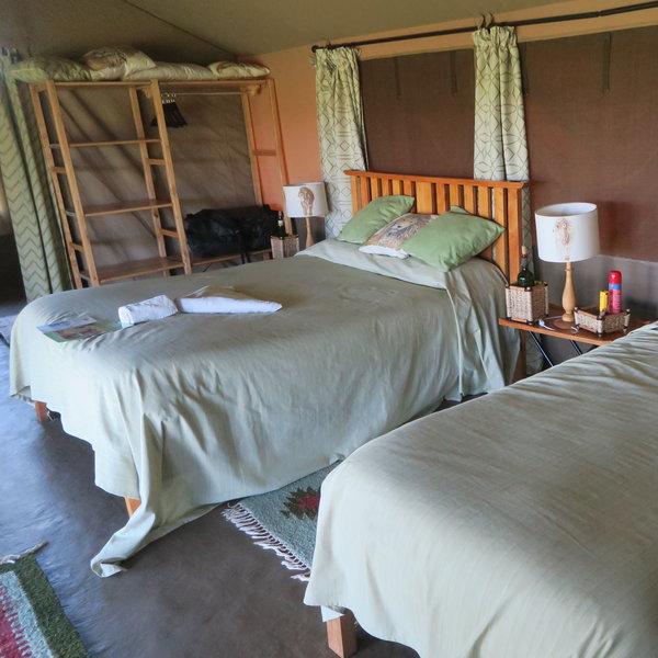 Porini Lion Camp