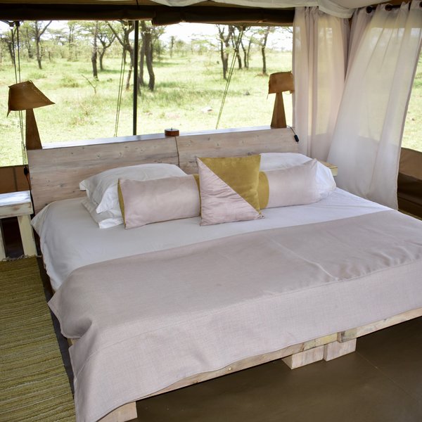 ... and the tents feel fresh, bright and modern...