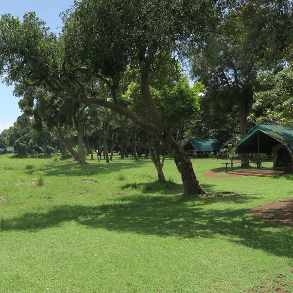 Little Governors' Camp