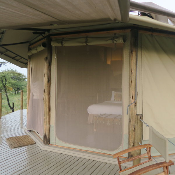 Basecamp Leopard Hill
