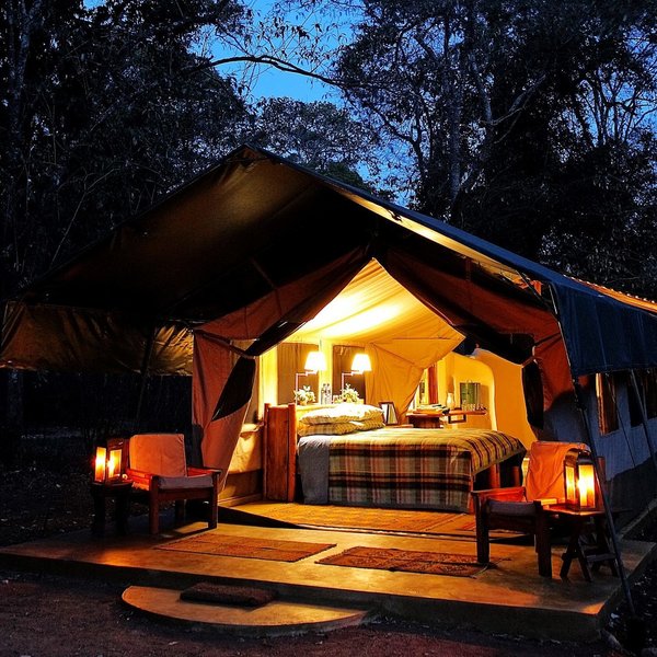 Kitich Forest Camp