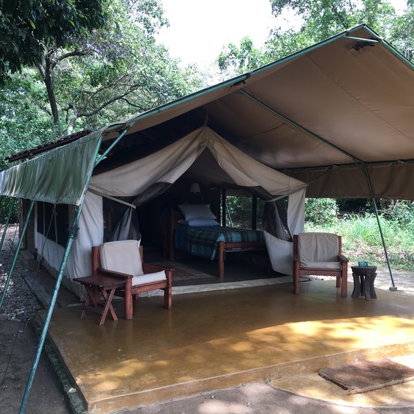 Kitich Forest Camp