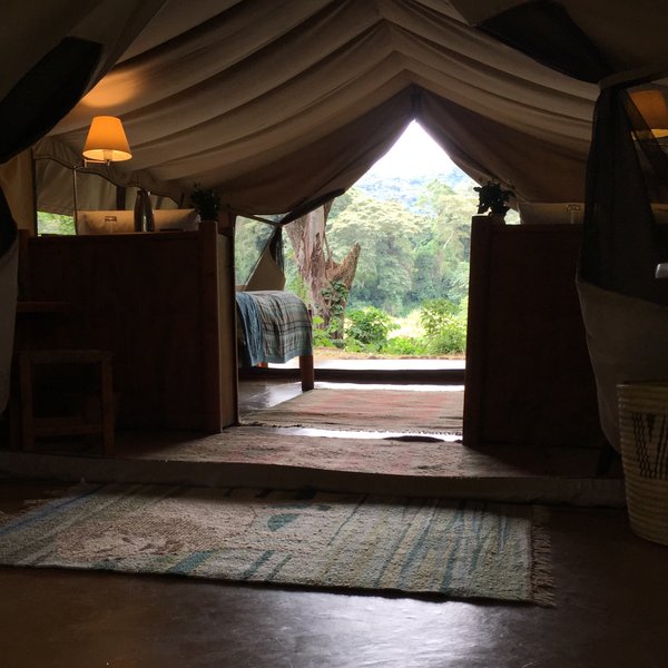 Kitich Forest Camp