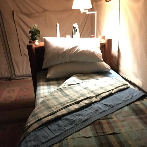 Kitich Forest Camp
