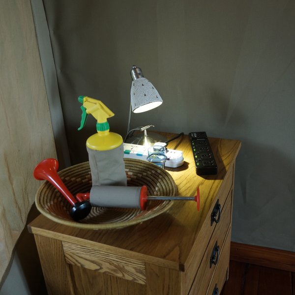 Sala's Camp
