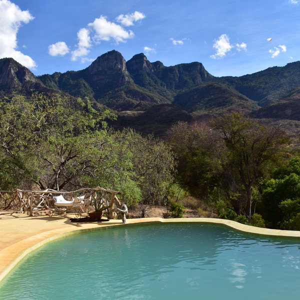 Sarara Treehouses is located in a forest, with beautiful views over the Matthews Range.
