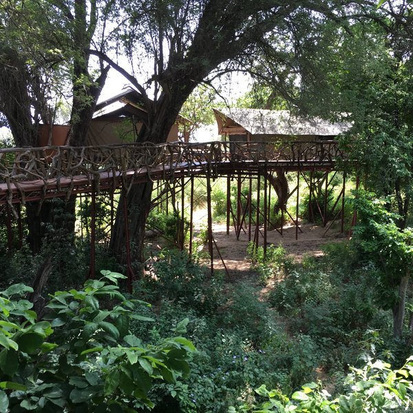 ... with tents nestled high up between the trees.