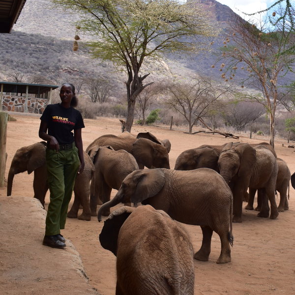 ... looking after them until they are old enough to return to the wild.
