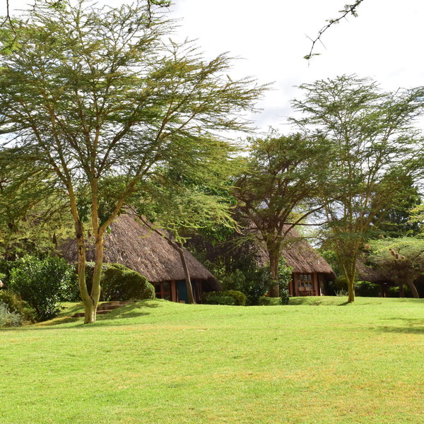 Kifaru House