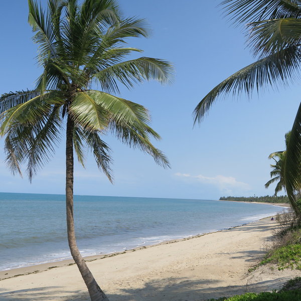 The Tides Lodge