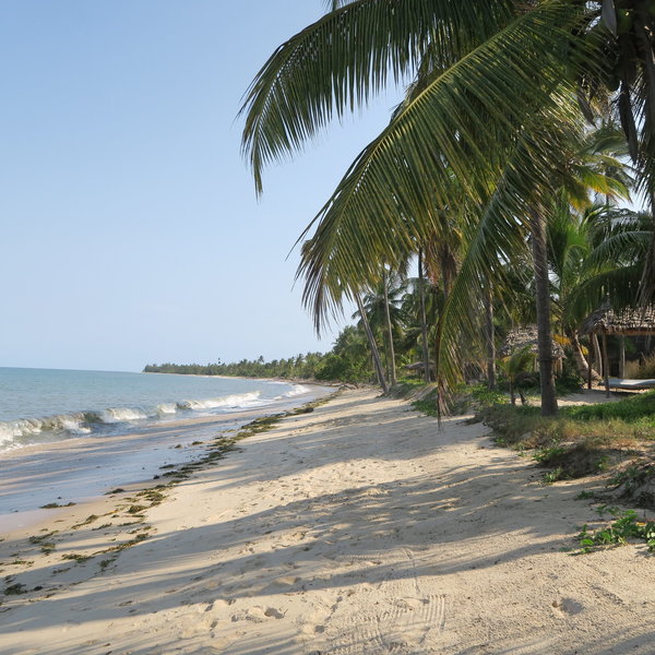 The Tides Lodge