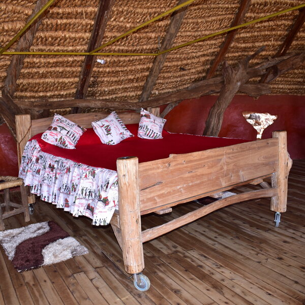 The rooms (this is #1) feature decks, live trees, and rustic furnishings.