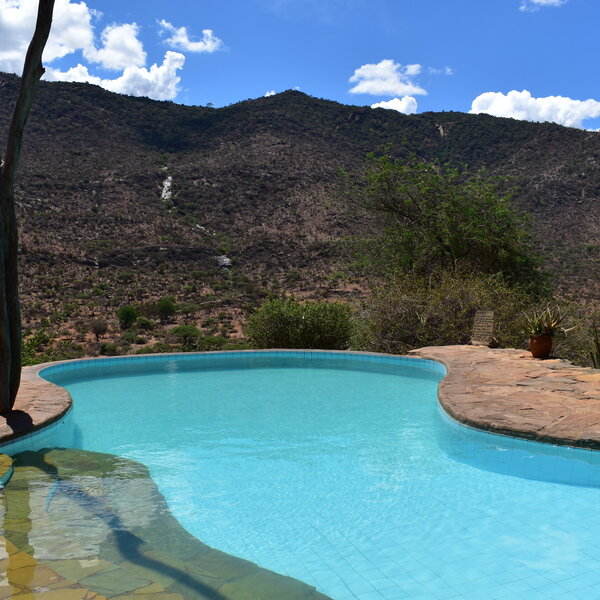 The pool is a delight - perfect for cooling off, or watching the wildlife below....
