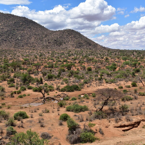 During the dry season the landscape looks very different ...