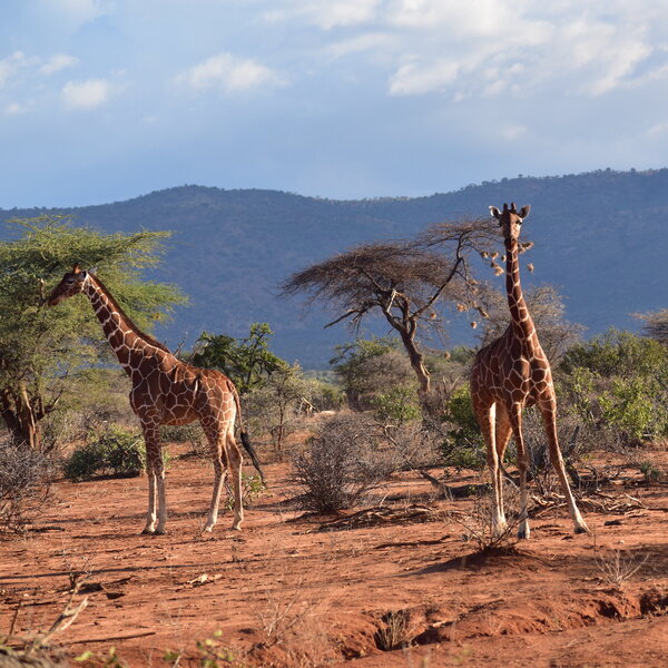 ... and the wildlife at this time is still pretty good.