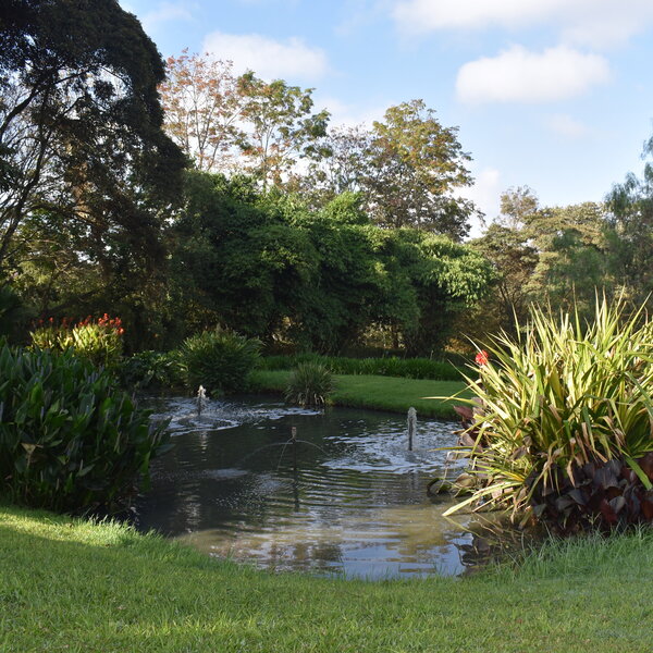 The gardens at Hemingways Nairobi are beautiful.