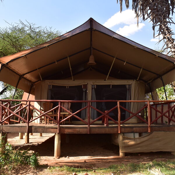 Elephant Bedroom