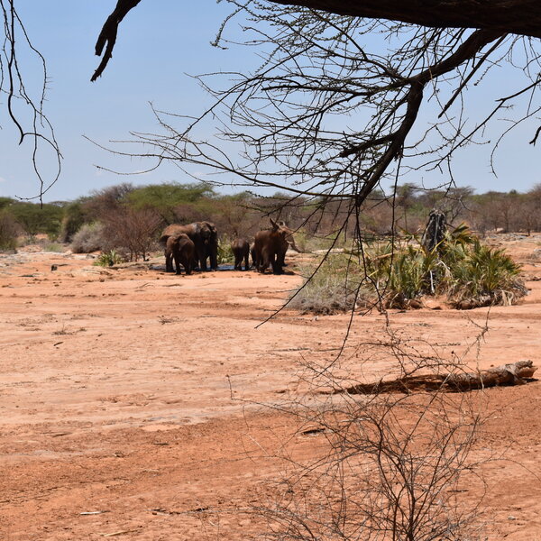 ...overlooking the usually dry bed…