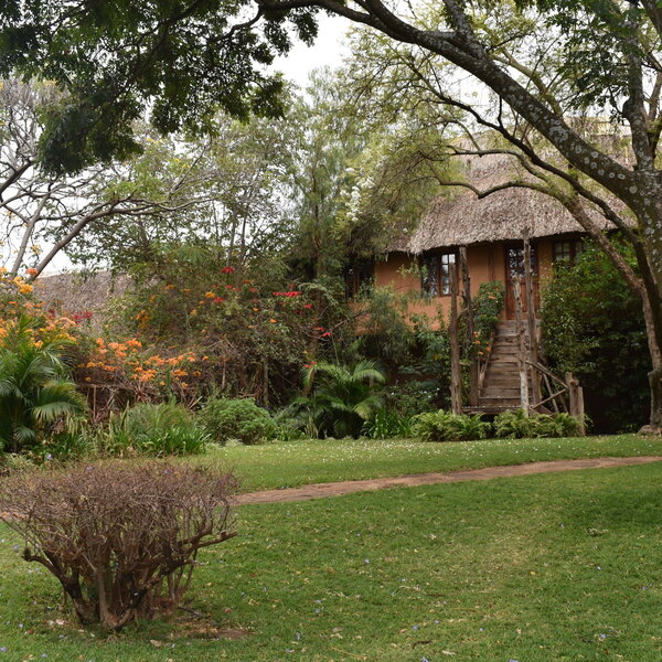 Lewa Wilderness