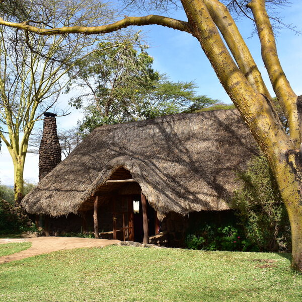 Lewa House