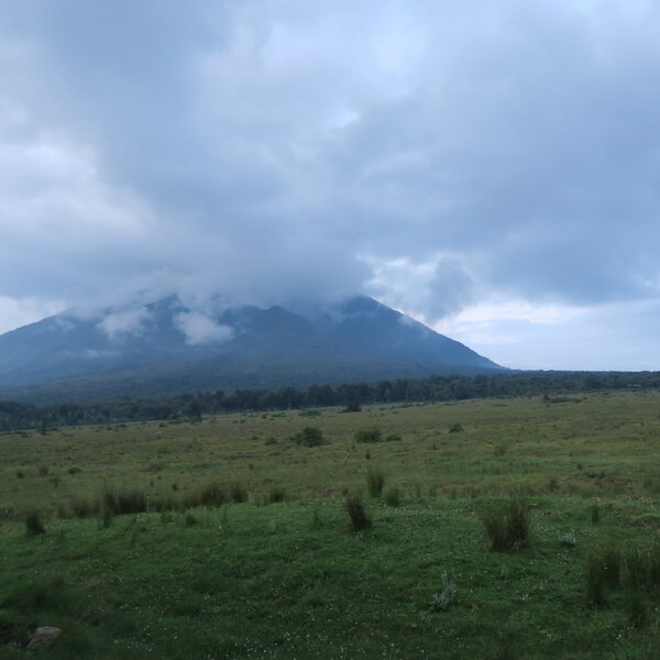 Kwitonda Lodge