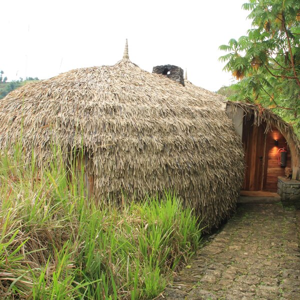 Bisate Lodge
