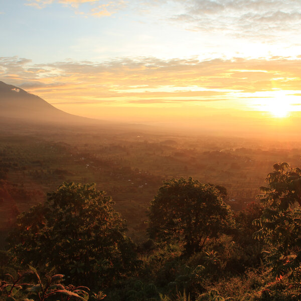 Bisate Lodge