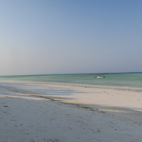 Pongwe Beach Hotel