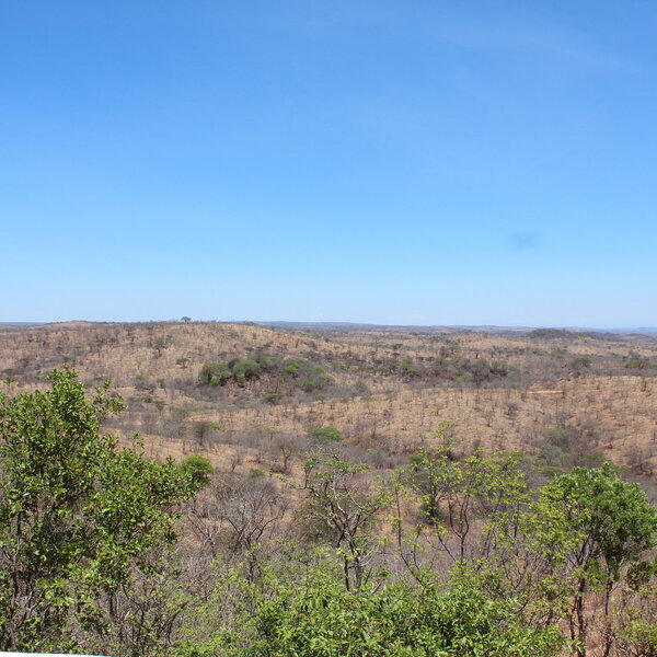 Ikuka Safari Camp