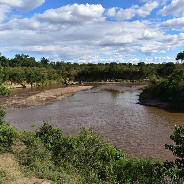 Mara Ngenche Safari Camp