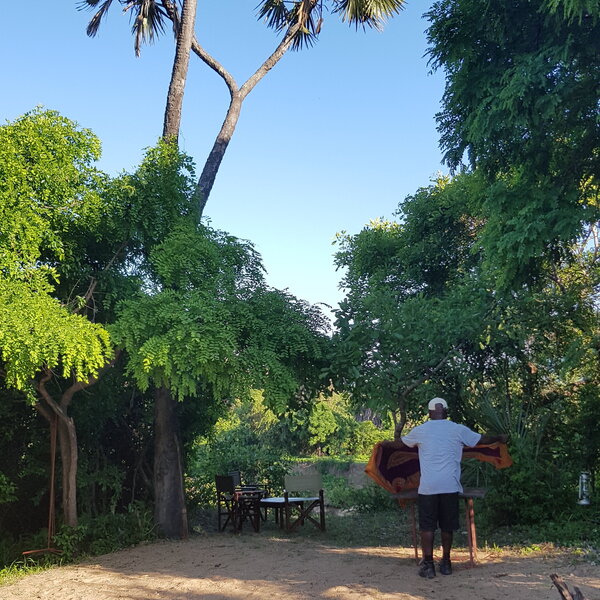 Beho Beho Tree-house