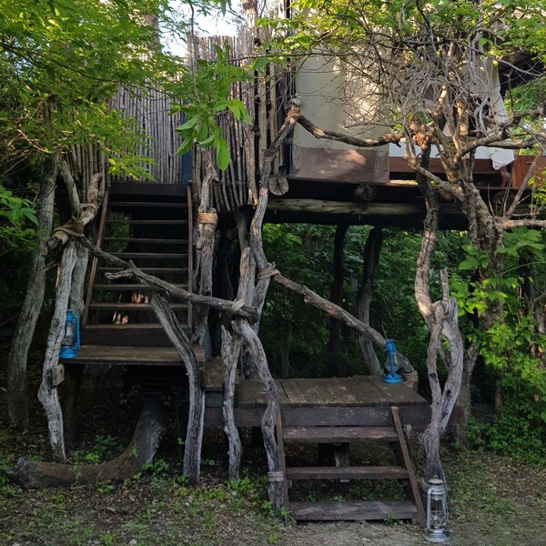 Beho Beho Tree-house