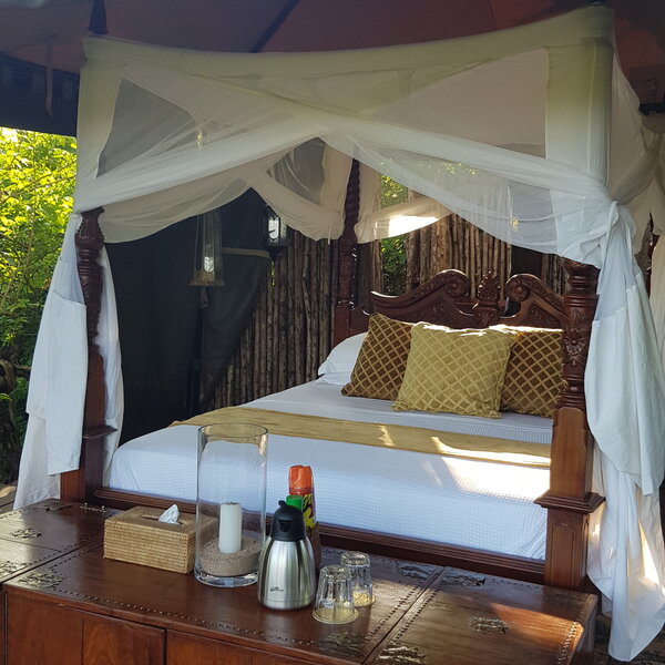 Beho Beho Tree-house