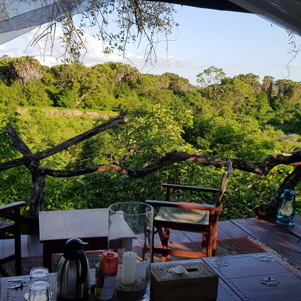 Beho Beho Tree-house