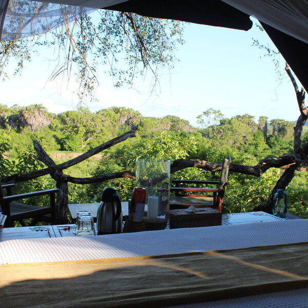 Beho Beho Tree-house