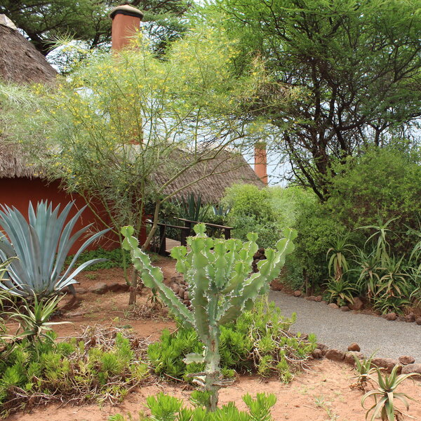 Tawi Lodge