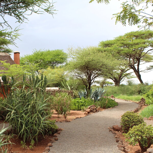 Tawi Lodge