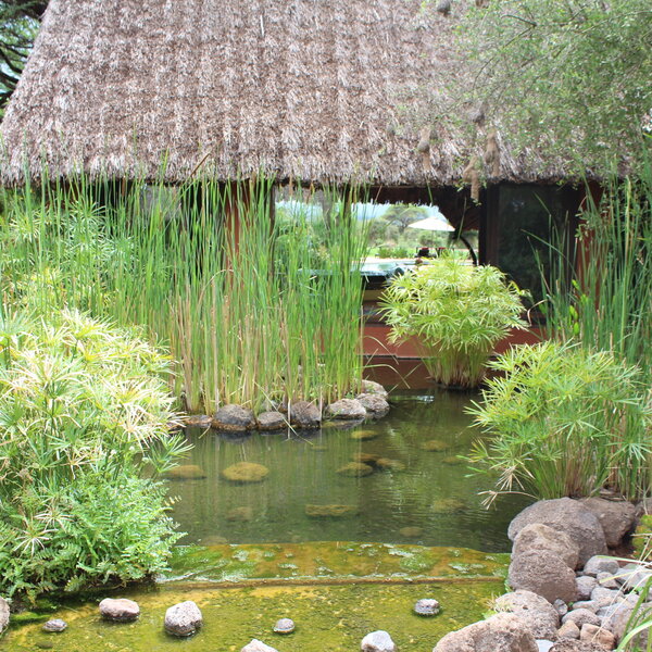 Tawi Lodge