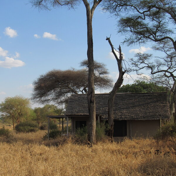 Kuro Tarangire is located in a quiet spot deep within the national park.