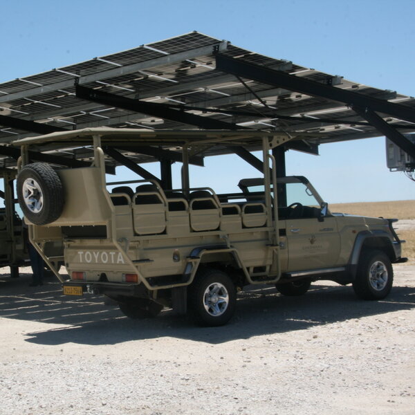 Etosha King Nehale