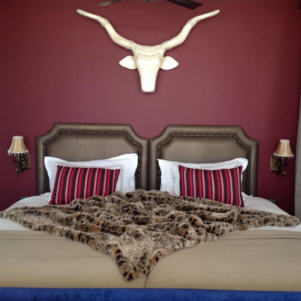 Etosha King Nehale