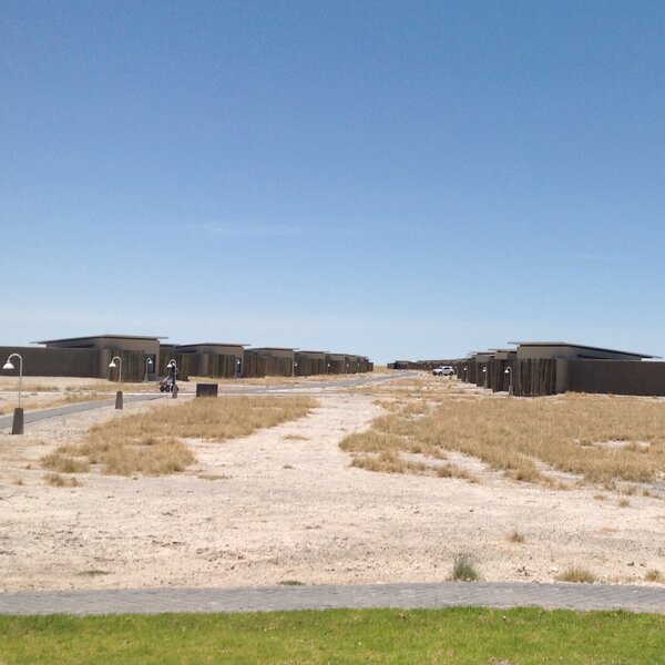 Etosha King Nehale