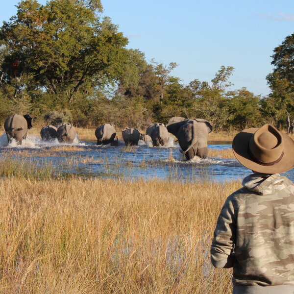 Elephant crossing the Selinda Spillway