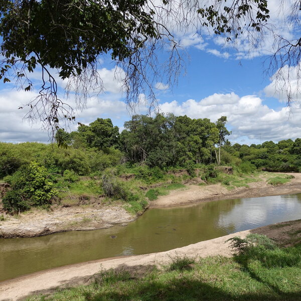 Mara Explorer Camp