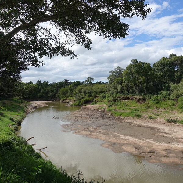 Mara Explorer Camp