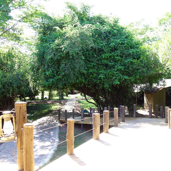 Ilkeliani Camp