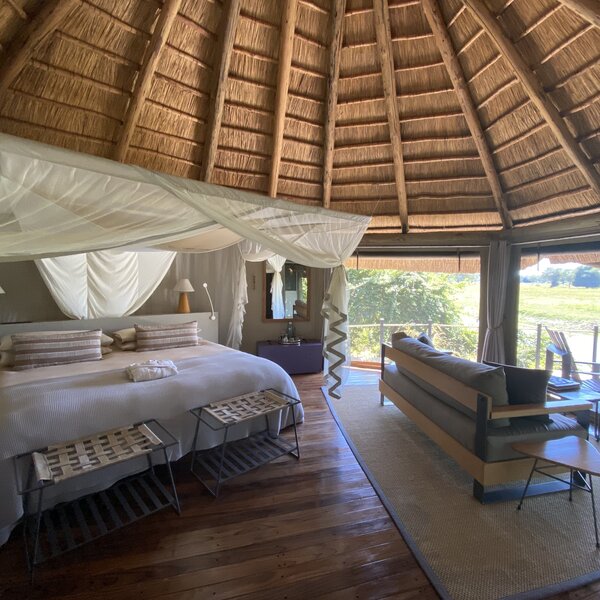 Lion Camp