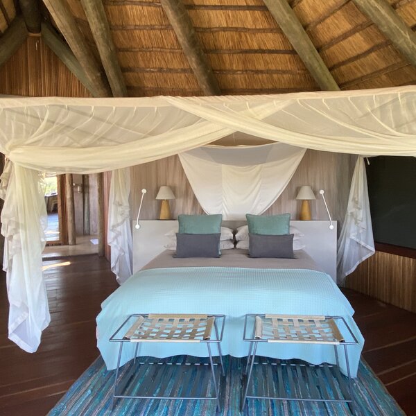 Lion Camp