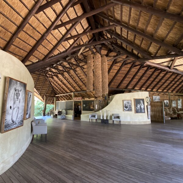 Lion Camp